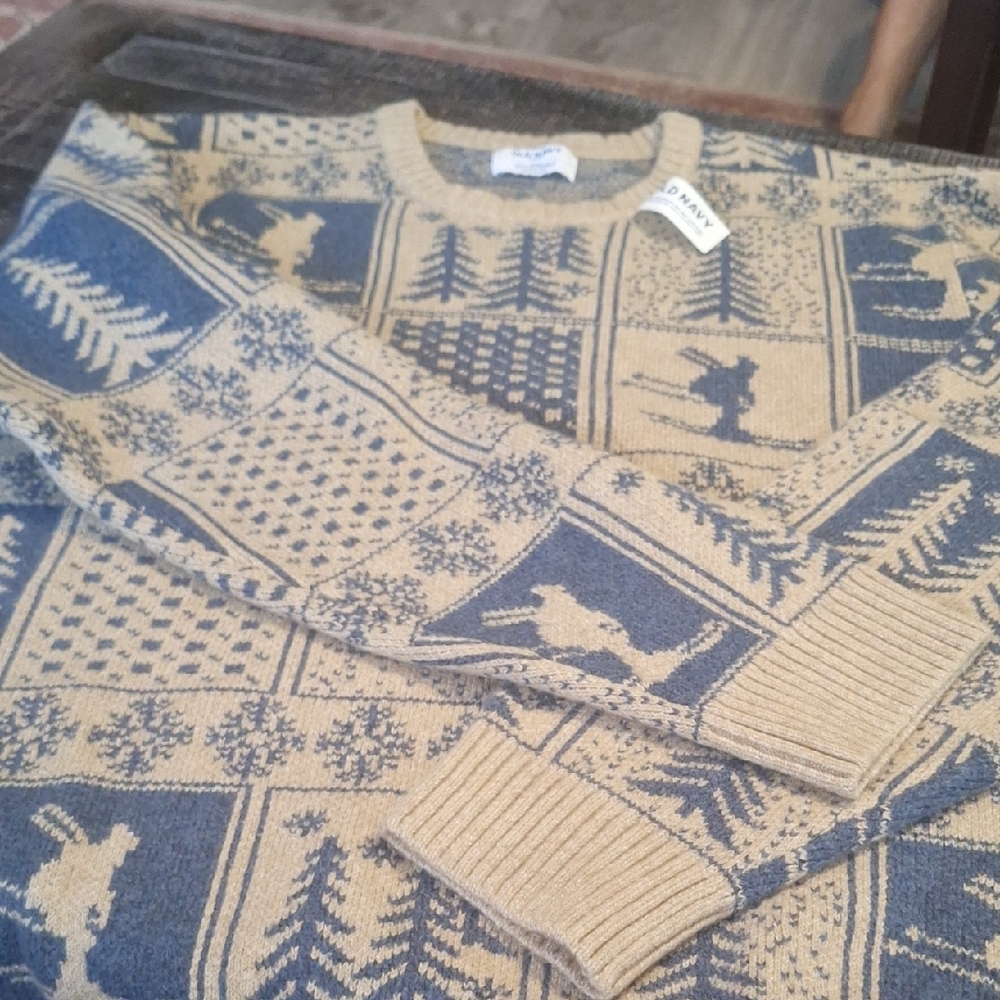 Old Navy Beige and Blue Graphic Crewneck Sweater